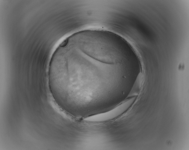 X0000113570864200910021628