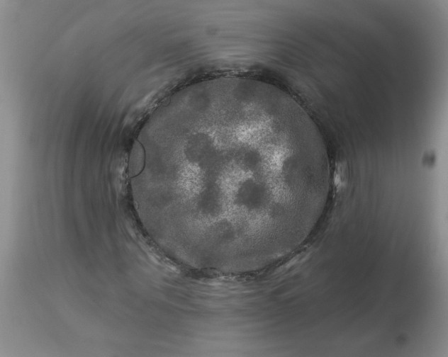 X0000113570867200910021627