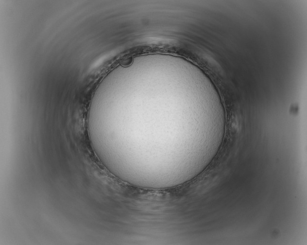 X0000113570869200910021627