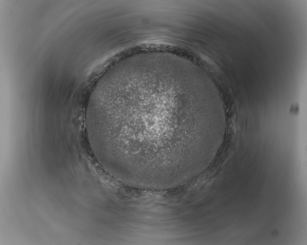X0000113570870200910021627
