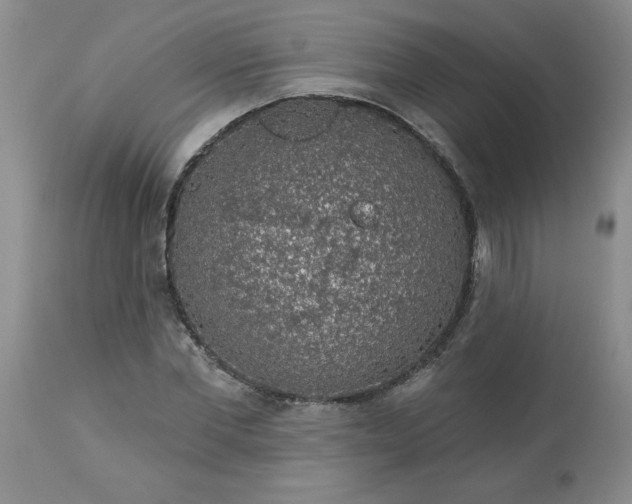 X0000113570877200910021627