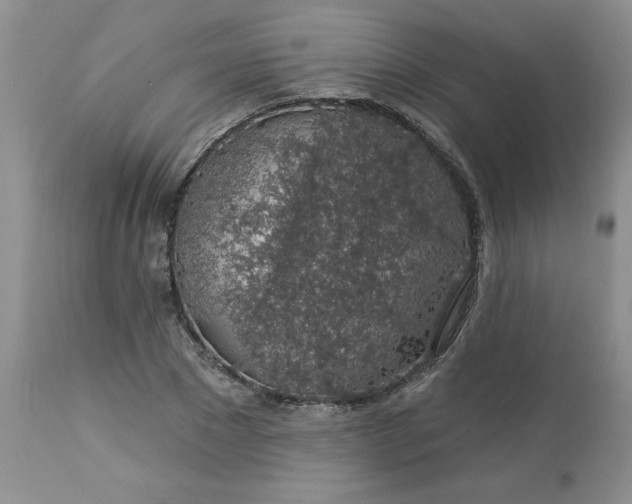 X0000113570881200910021627