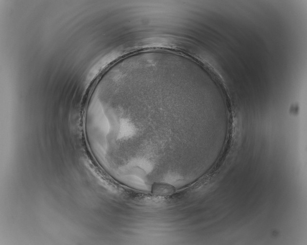 X0000113570882200910021627