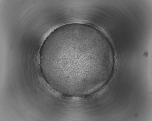 X0000113570883200910021626