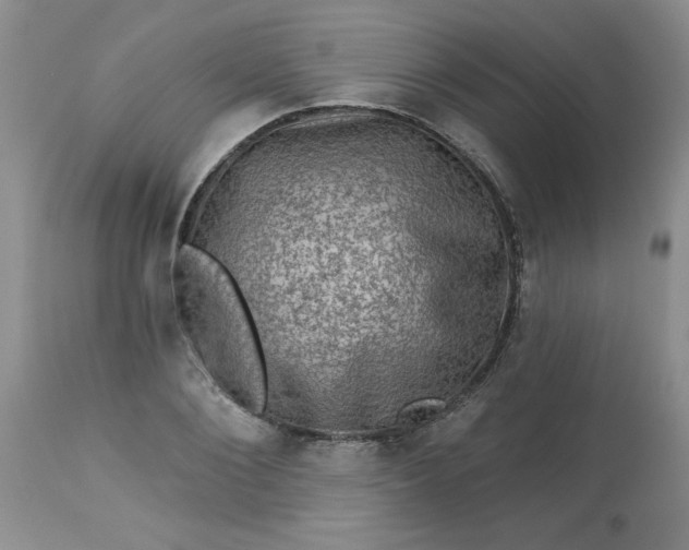 X0000113570884200910021626