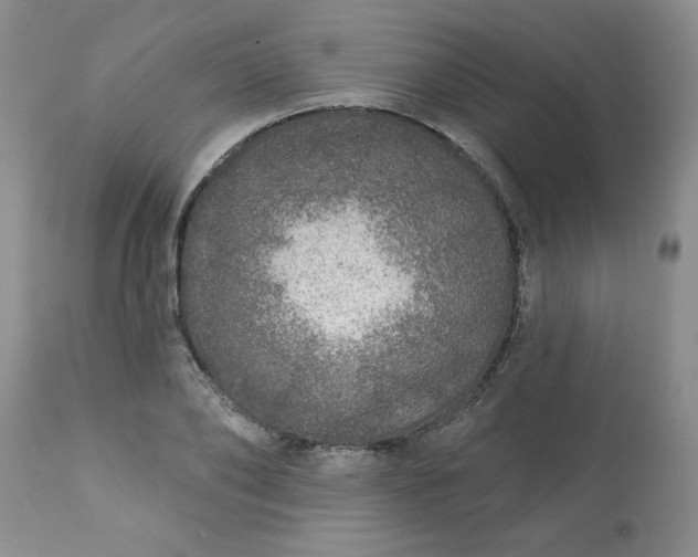 X0000113570886200910021626