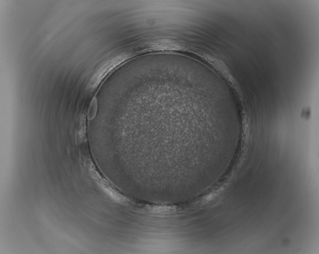 X0000113570889200910021626