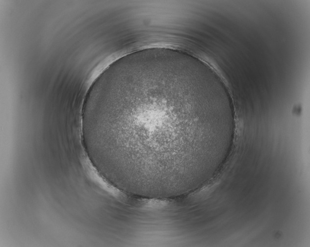 X0000113570890200910021626