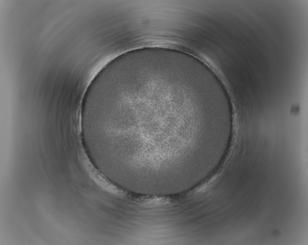 X0000113570891200910021626