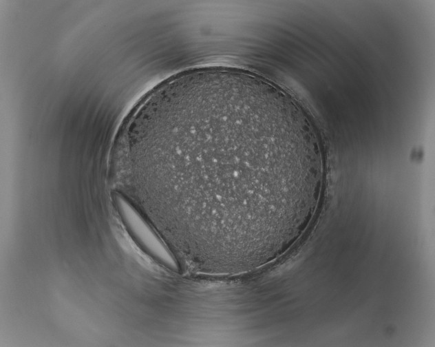 X0000113570892200910021626