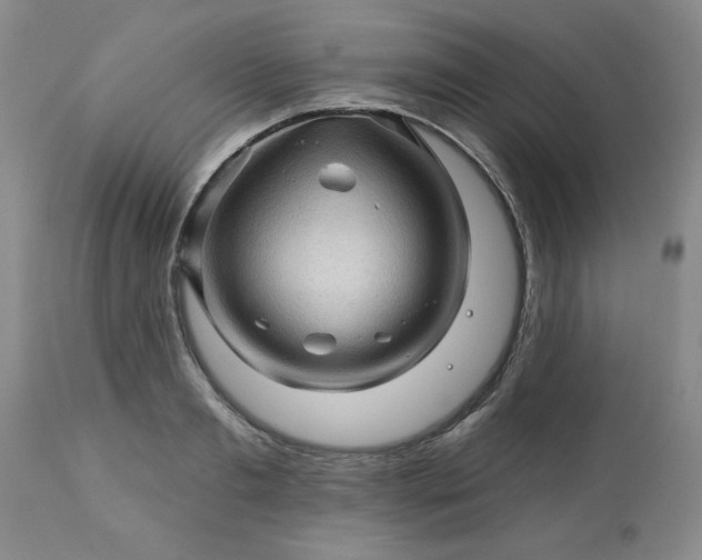 X0000113570893200910021626