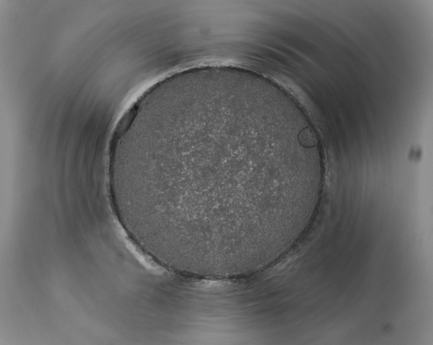 X0000113570894200910021626