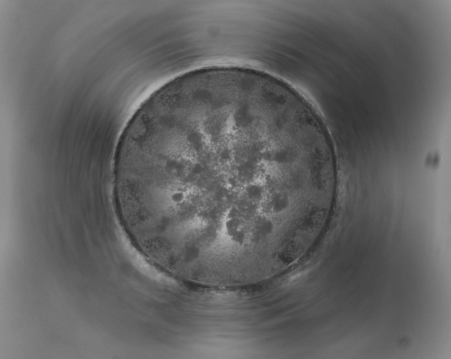 X0000113570895200910021626