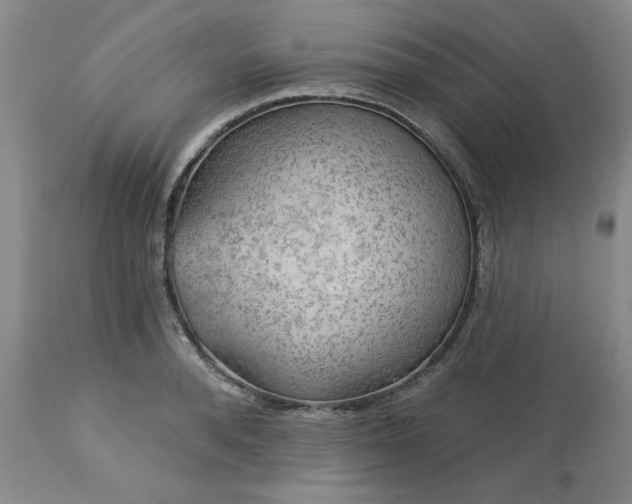 X0000113570896200910021626
