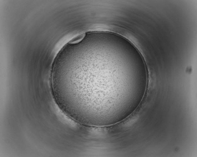 X0000113570901200910021626