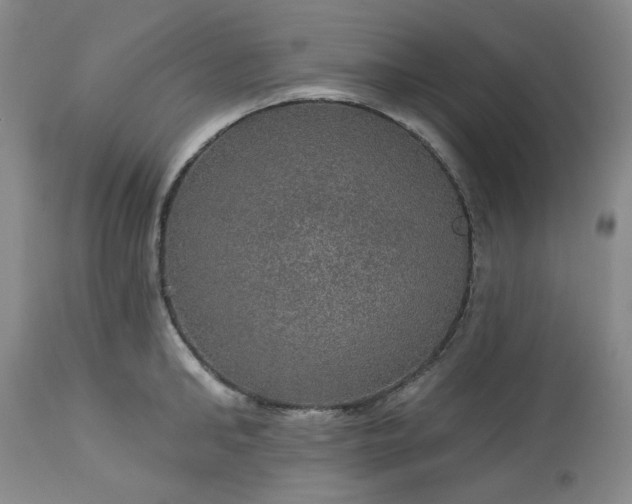 X0000113570902200910021626