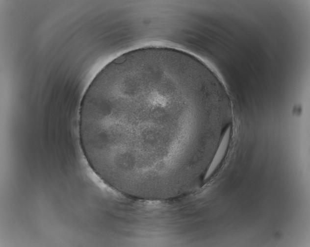 X0000113570903200910021626