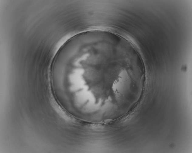 X0000113570907200910021626