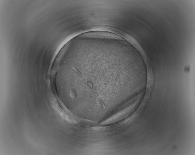 X0000113570908200910021626