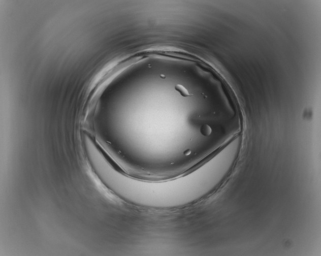 X0000113570909200910021626