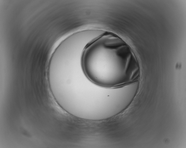 X0000113570912200910021626