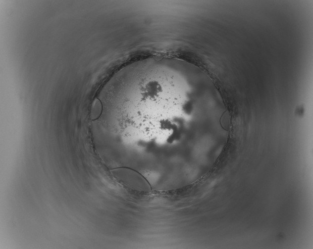 X0000113570913200910021625
