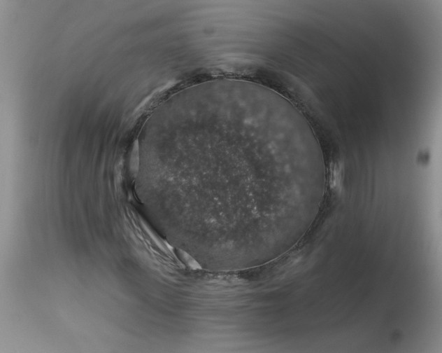 X0000113570915200910021625