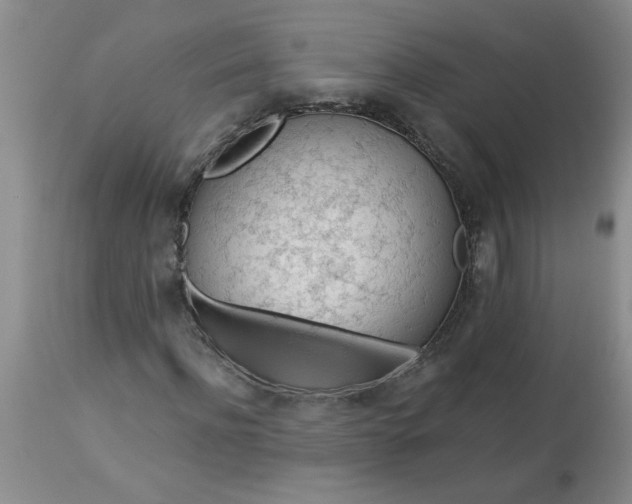 X0000113570916200910021625