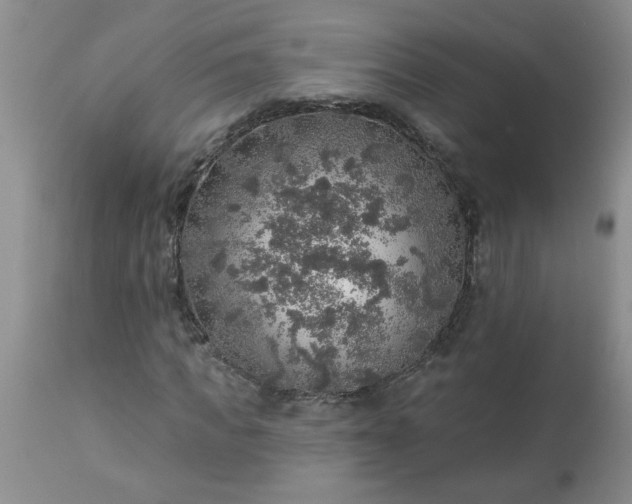 X0000113570917200910021625