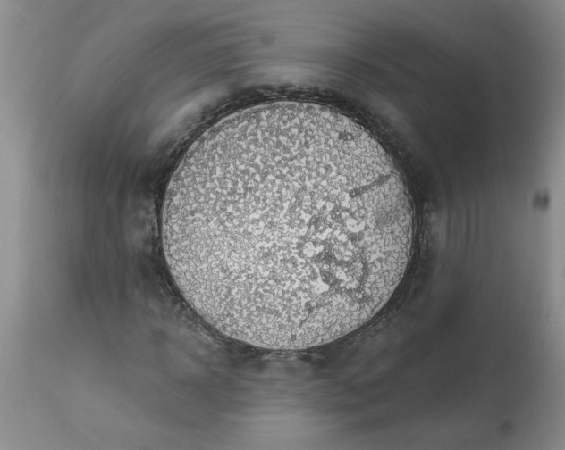 X0000113570918200910021626