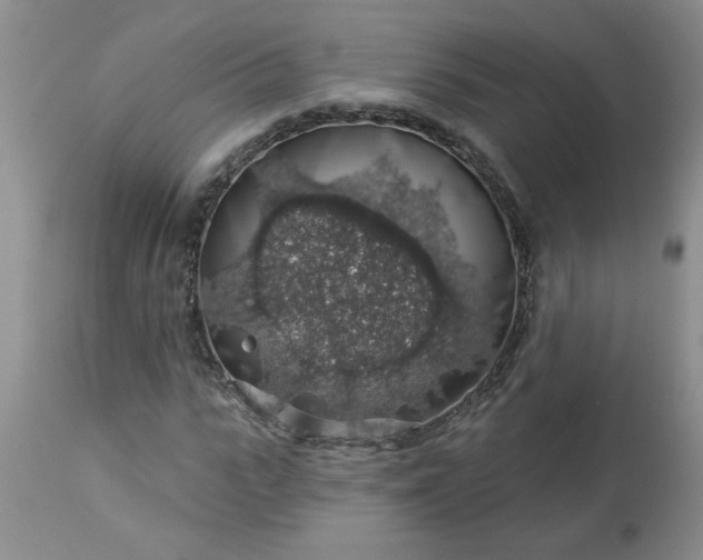 X0000113570919200910021626