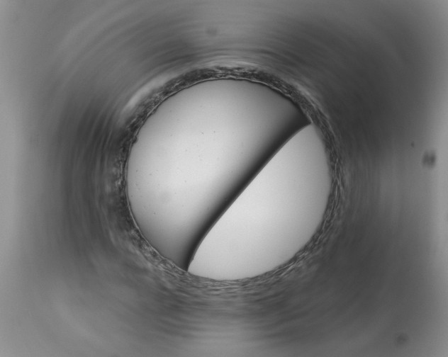 X0000113570920200910021626