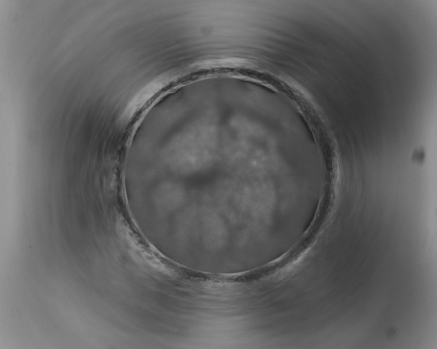 X0000113570921200910021626