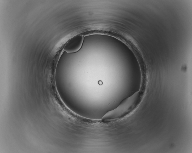 X0000113570922200910021626