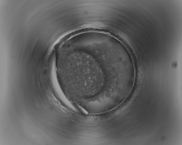 X0000113570923200910021626