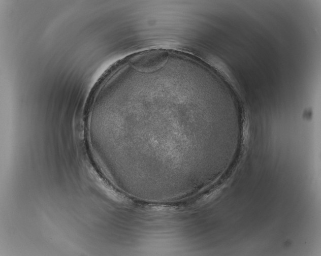 X0000113570924200910021626