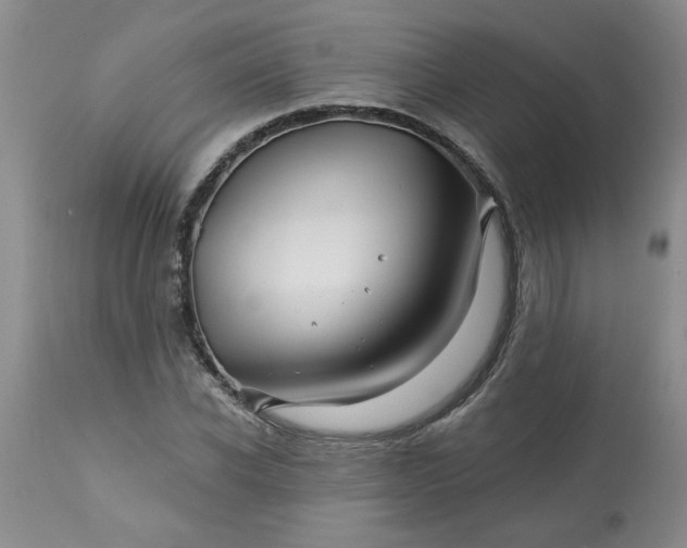 X0000113570926200910021626