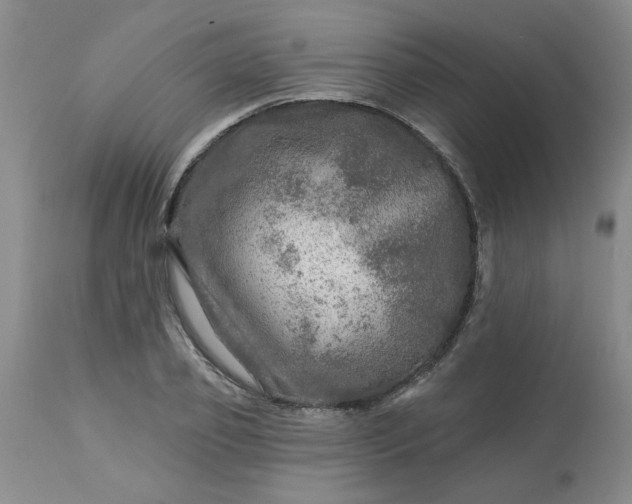 X0000113570933200910021626