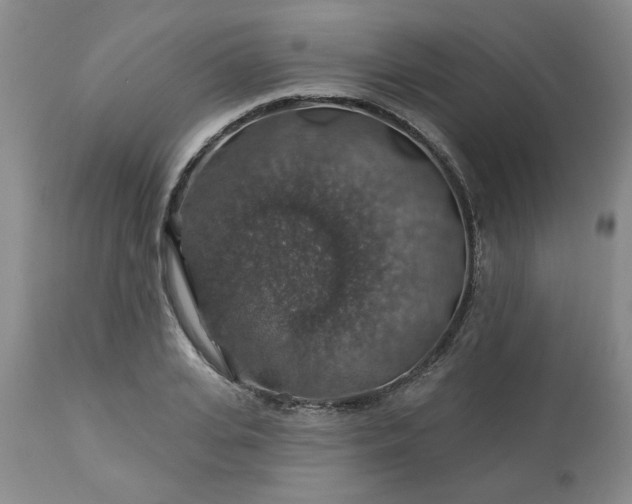 X0000113570935200910021626
