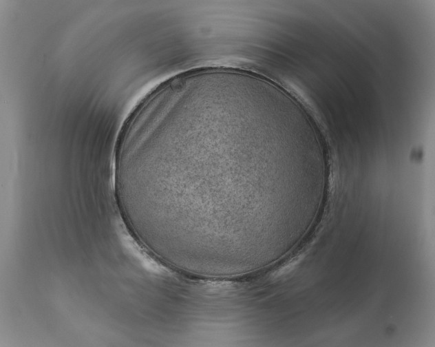 X0000113570940200910021626