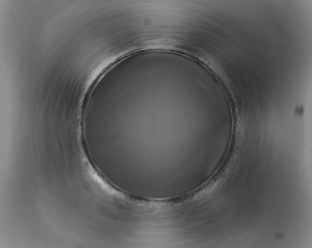 X0000113570941200910021626