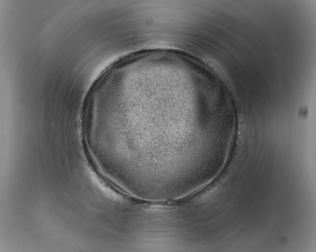 X0000113570942200910021626
