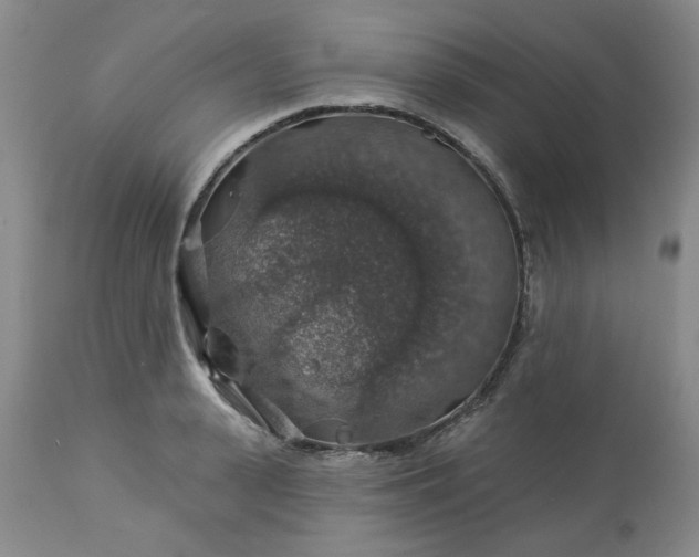 X0000113570943200910021626
