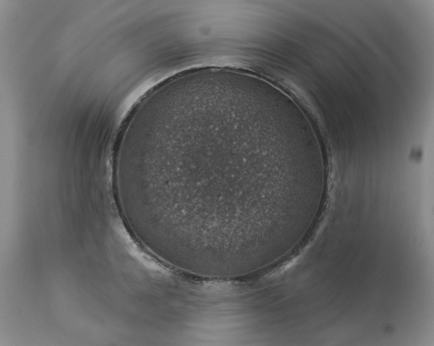 X0000113570944200910021626