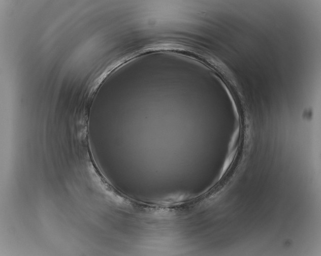 X0000113570945200910021626