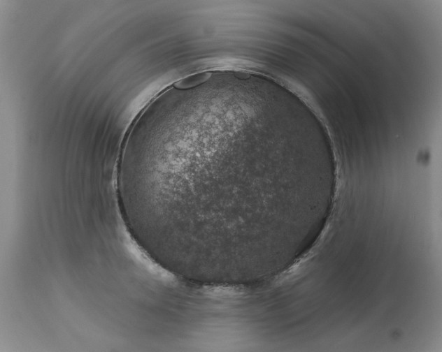 X0000113570946200910021626