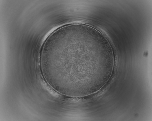 X0000113570948200910021626