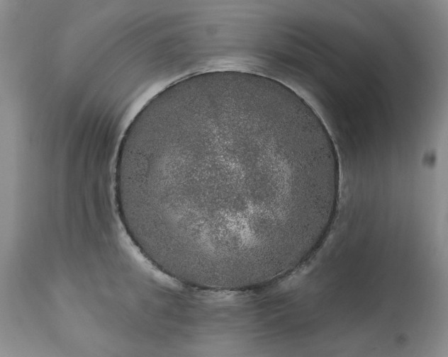 X0000113570949200910021626