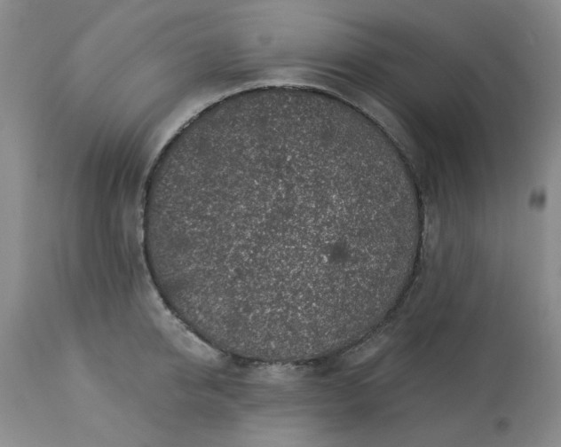 X0000113570950200910021626