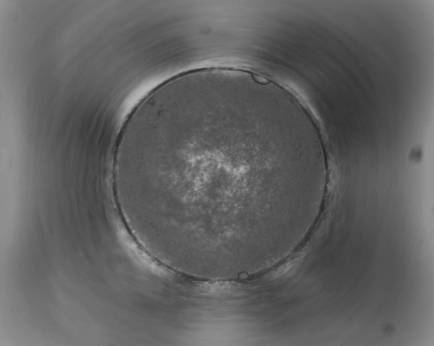 X0000113570952200910021626